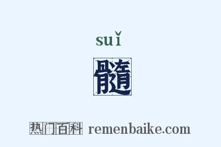 髓是什么意思的图片